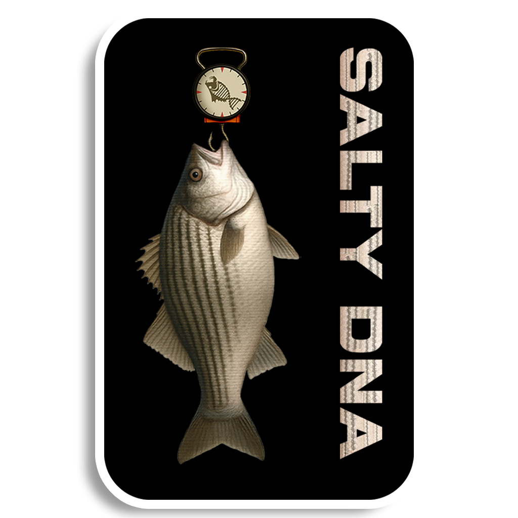 Salty Species Bass Stickers